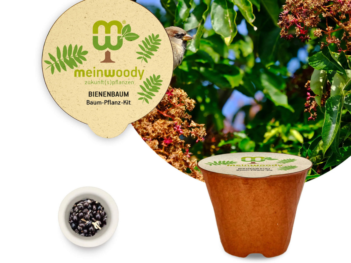 Geschenke Made in Germany - Baum-Pflanz-Kit
