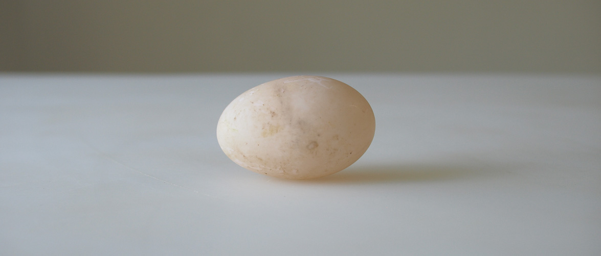Jonathan Blaustein, photography, Gallery
